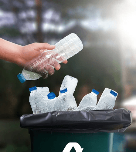 About PP Thailand Background