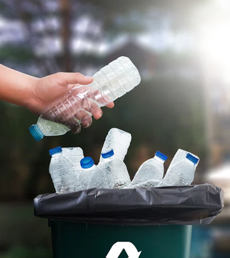 About PP Thailand Background